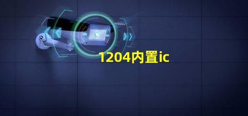 1204内置ic