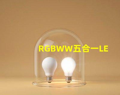 RGBWW五合一LED