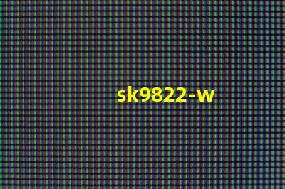 sk9822-w