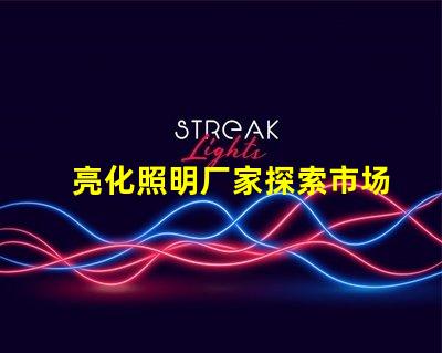 亮化照明厂家探索市场领先者的秘密