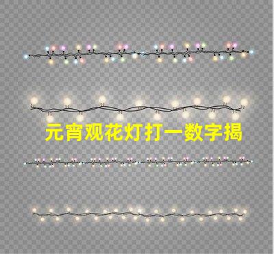 元宵观花灯打一数字揭秘元宵节数字谜底的趣味游戏