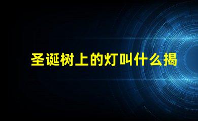 圣诞树上的灯叫什么揭秘圣诞树灯光的种类与选择