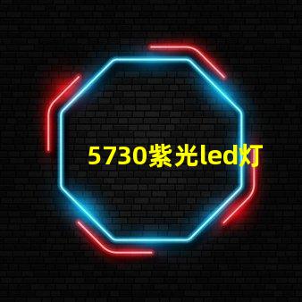 5730紫光led灯珠