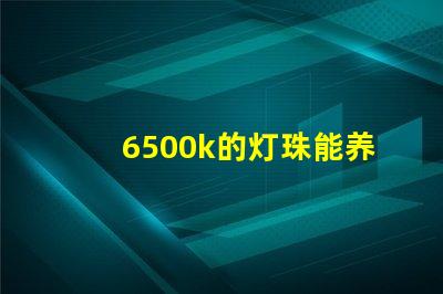 6500k的灯珠能养水草吗led