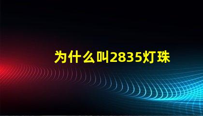 为什么叫2835灯珠