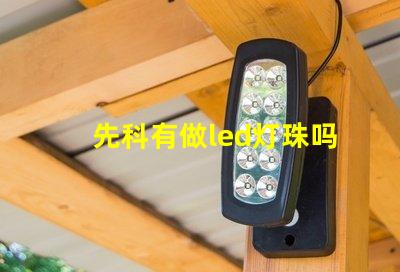 先科有做led灯珠吗