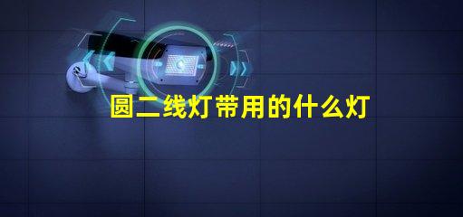 圆二线灯带用的什么灯珠