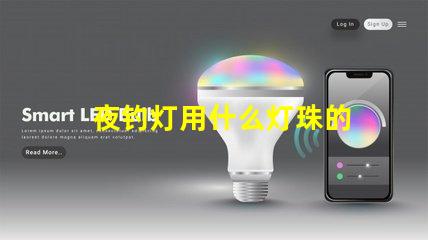 夜钓灯用什么灯珠的