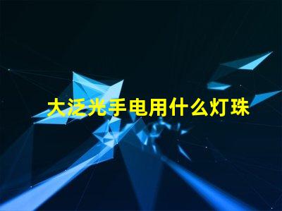 大泛光手电用什么灯珠好