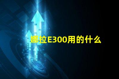 娜拉E300用的什么灯珠