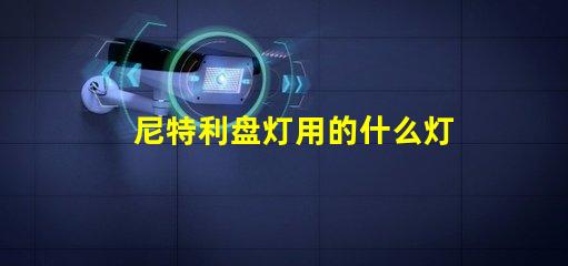 尼特利盘灯用的什么灯珠