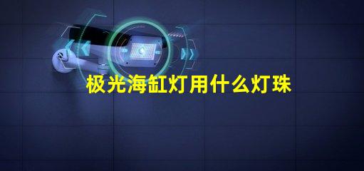 极光海缸灯用什么灯珠