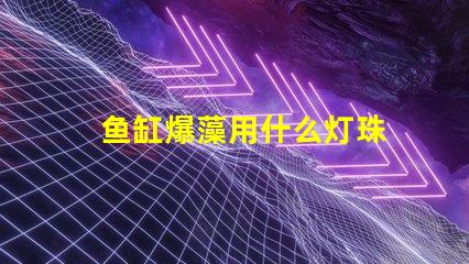 鱼缸爆藻用什么灯珠