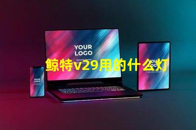 鲸特v29用的什么灯珠