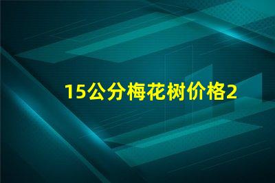 15公分梅花树价格2023年最新市场价格分析