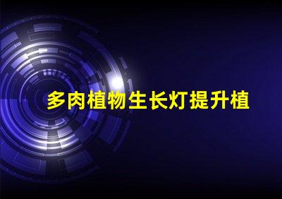 多肉植物生长灯提升植物健康与生长效率的秘密
