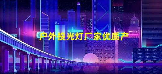户外投光灯厂家优质产品与竞争力分析