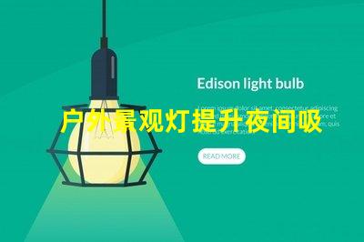 户外景观灯提升夜间吸引力的亮点选择