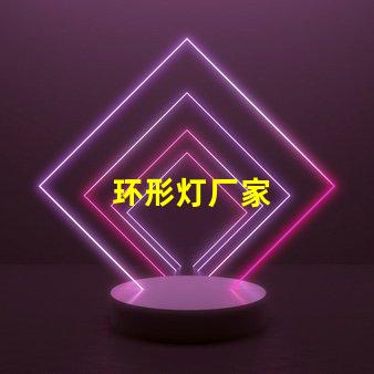 环形灯厂家
